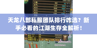 天龙八部私服团队排行咋选？新手必看的江湖生存全解析！