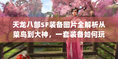 天龙八部SF装备图片全解析从菜鸟到大神，一套装备如何玩转江湖？