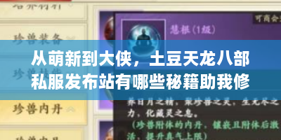 从萌新到大侠，土豆天龙八部私服发布站有哪些秘籍助我修炼108天？