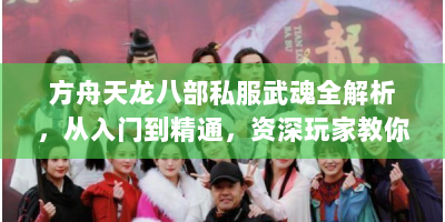 方舟天龙八部私服武魂全解析，从入门到精通，资深玩家教你玩转私服江湖