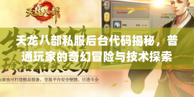 天龙八部私服后台代码揭秘，普通玩家的奇幻冒险与技术探索