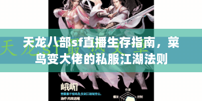 天龙八部sf直播生存指南，菜鸟变大佬的私服江湖法则