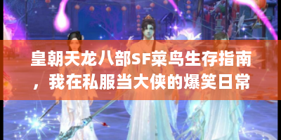 皇朝天龙八部SF菜鸟生存指南，我在私服当大侠的爆笑日常
