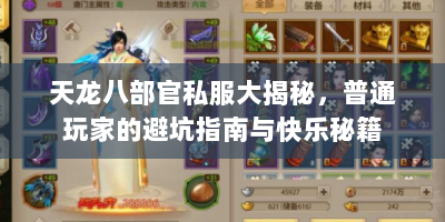 天龙八部官私服大揭秘，普通玩家的避坑指南与快乐秘籍