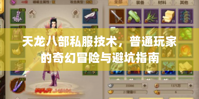 天龙八部私服技术，普通玩家的奇幻冒险与避坑指南