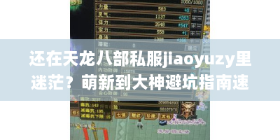 还在天龙八部私服jiaoyuzy里迷茫？萌新到大神避坑指南速看！