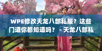 WPE修改天龙八部私服？这些门道你都知道吗？ - 天龙八部私服玩家必看