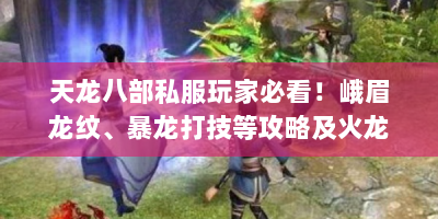 天龙八部私服玩家必看！峨眉龙纹、暴龙打技等攻略及火龙辅助