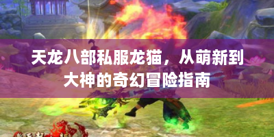 天龙八部私服龙猫，从萌新到大神的奇幻冒险指南