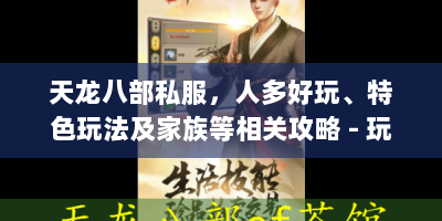 天龙八部私服，人多好玩、特色玩法及家族等相关攻略 - 玩家必看！