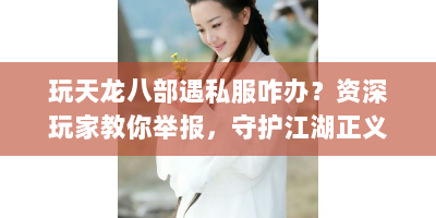 玩天龙八部遇私服咋办？资深玩家教你举报，守护江湖正义！