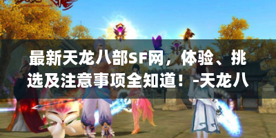 最新天龙八部SF网，体验、挑选及注意事项全知道！-天龙八部玩家必看