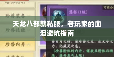 天龙八部就私服，老玩家的血泪避坑指南