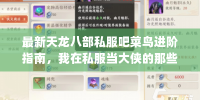 最新天龙八部私服吧菜鸟进阶指南，我在私服当大侠的那些年
