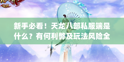 新手必看！天龙八部私服端是什么？有何利弊及玩法风险全解析