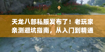 天龙八部私服发布了！老玩家亲测避坑指南，从入门到精通的全方位攻略