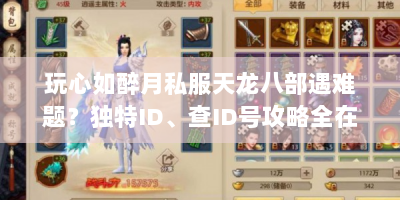 玩心如醉月私服天龙八部遇难题？独特ID、查ID号攻略全在这！