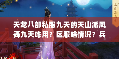 天龙八部私服九天的天山派凤舞九天咋用？区服啥情况？兵圣咋过？