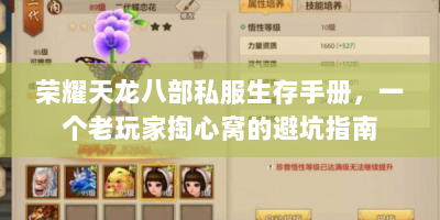 荣耀天龙八部私服生存手册，一个老玩家掏心窝的避坑指南