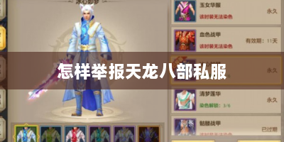 怎样举报天龙八部私服