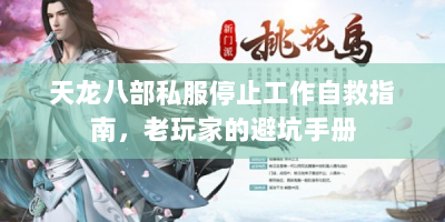 天龙八部私服停止工作自救指南，老玩家的避坑手册