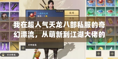 我在超人气天龙八部私服的奇幻漂流，从萌新到江湖大佬的保姆级指南