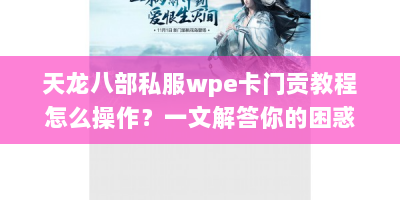 天龙八部私服wpe卡门贡教程怎么操作？一文解答你的困惑