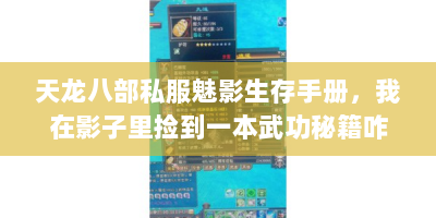 天龙八部私服魅影生存手册，我在影子里捡到一本武功秘籍咋用？