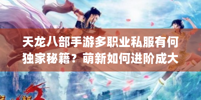 天龙八部手游多职业私服有何独家秘籍？萌新如何进阶成大神？