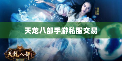 天龙八部手游私服交易