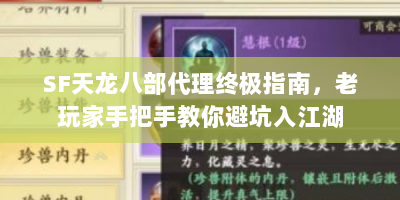 SF天龙八部代理终极指南，老玩家手把手教你避坑入江湖