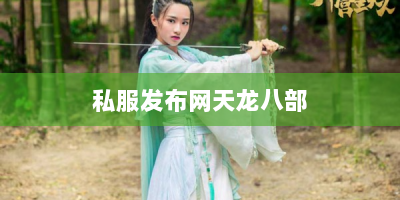 私服发布网天龙八部