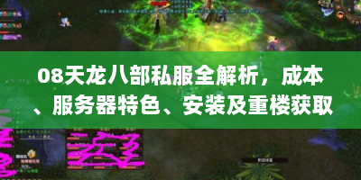 08天龙八部私服全解析，成本、服务器特色、安装及重楼获取攻略？