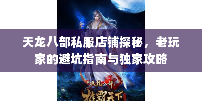 天龙八部私服店铺探秘，老玩家的避坑指南与独家攻略