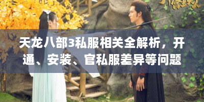 天龙八部3私服相关全解析，开通、安装、官私服差异等问题解答