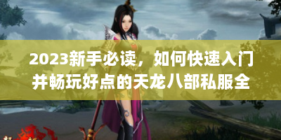 2023新手必读，如何快速入门并畅玩好点的天龙八部私服全指南