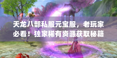天龙八部私服元宝服，老玩家必看！独家稀有资源获取秘籍大公开