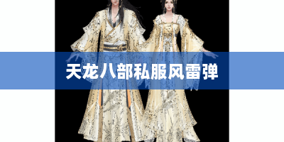 天龙八部私服风雷弹