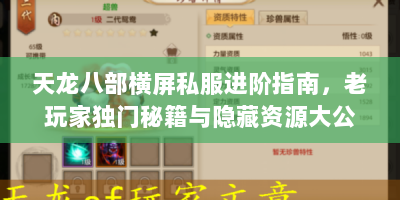 天龙八部横屏私服进阶指南，老玩家独门秘籍与隐藏资源大公开
