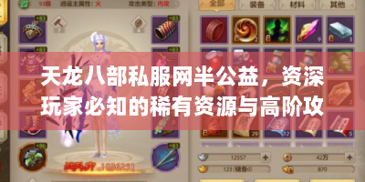 天龙八部私服网半公益，资深玩家必知的稀有资源与高阶攻略