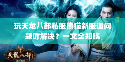 玩天龙八部私服熊猫新服遇问题咋解决？一文全知晓