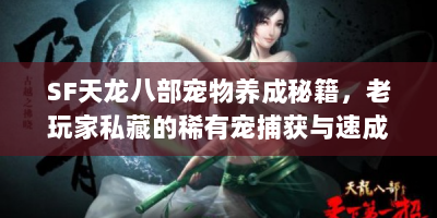 SF天龙八部宠物养成秘籍，老玩家私藏的稀有宠捕获与速成指南
