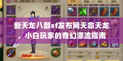 新天龙八部sf发布网天命天龙，小白玩家的奇幻漂流指南