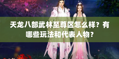 天龙八部武林至尊区怎么样？有哪些玩法和代表人物？