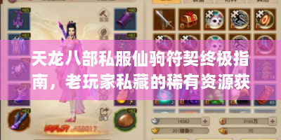 天龙八部私服仙驹符契终极指南，老玩家私藏的稀有资源获取与实战技巧