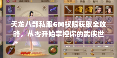 天龙八部私服GM权限获取全攻略，从零开始掌控你的武侠世界