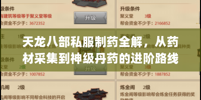 天龙八部私服制药全解，从药材采集到神级丹药的进阶路线