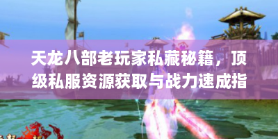天龙八部老玩家私藏秘籍，顶级私服资源获取与战力速成指南