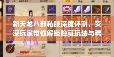 新天龙八部私服深度评测，资深玩家带你解锁隐藏玩法与稀有资源