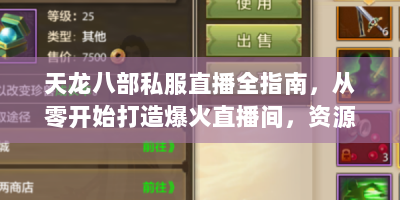 天龙八部私服直播全指南，从零开始打造爆火直播间，资源与技术全揭秘